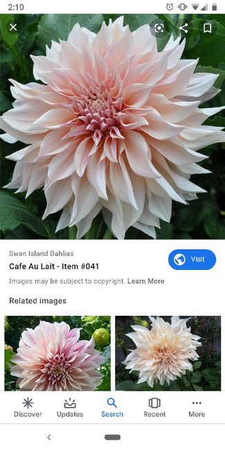 Tips for diy floral centerpieces (bulk from Sam's Club) - 8