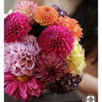 I'm in dying need - 1