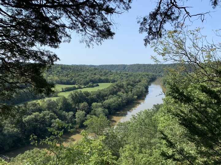 “Wildflower” color help! - 5