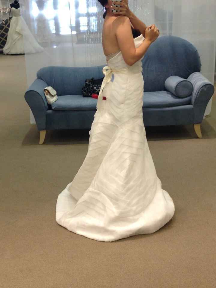 Dress Shopping Drama