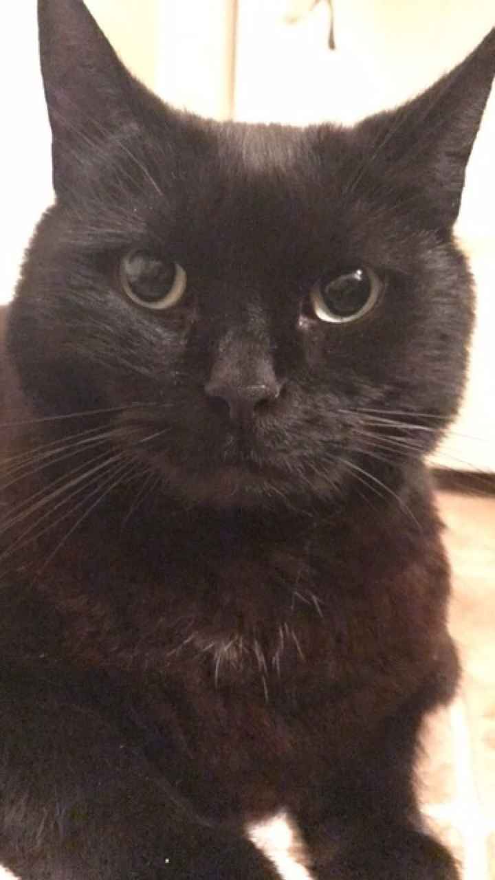 NWR: Update on my fur baby