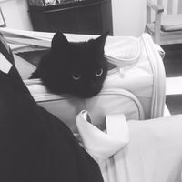 NWR: Another Fur Baby Update