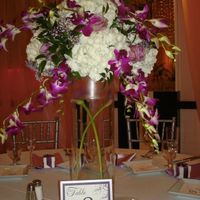 WE DID IT!! Few non pro pics :)