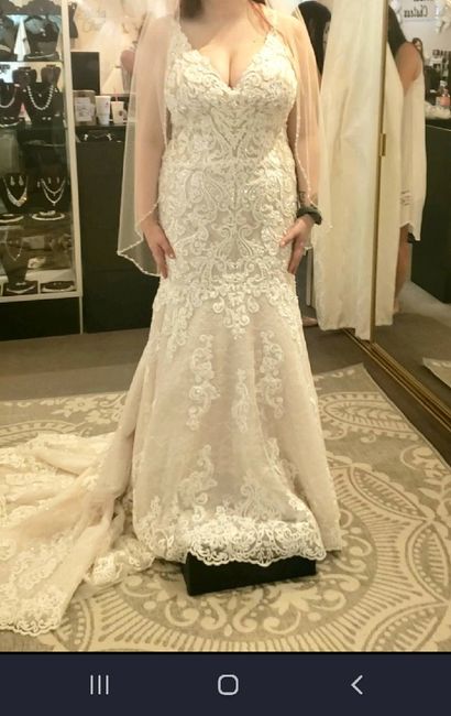 Show me your ball gown wedding dresses! 3