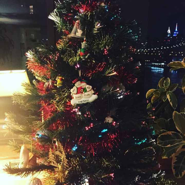 NWR: Show me your Christmas Trees, Hanukkah decor, or any other holiday stuff you put out!!