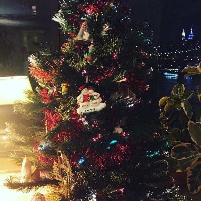 NWR: Show me your Christmas Trees, Hanukkah decor, or any other holiday stuff you put out!!