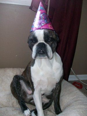 *NWR* Show me your pets/animals! *PICS*