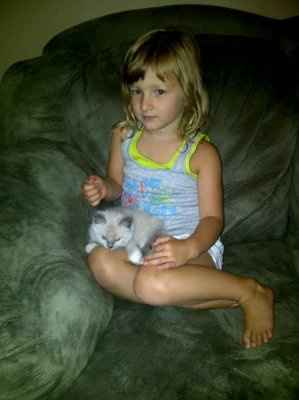 NWR: My dog wants to eat my new kitten!!