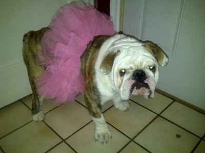 *NWR* Show me your pets/animals! *PICS*