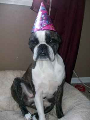 *NWR* Show me your pets/animals! *PICS*