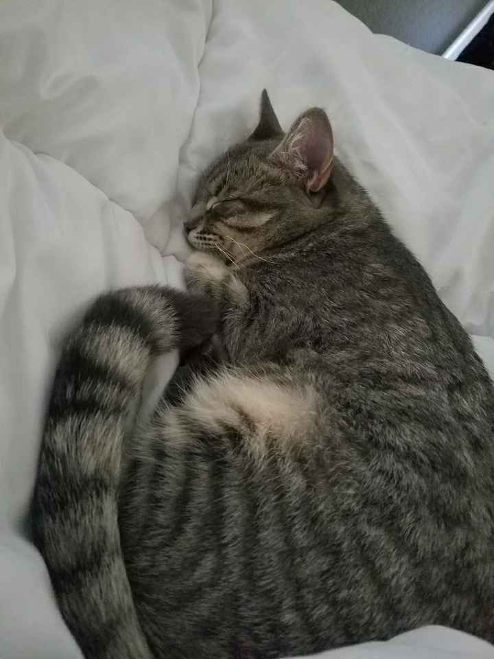 NWR:  Show me your fur babies!