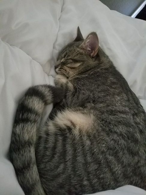 NWR:  Show me your fur babies!