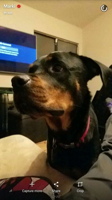 NWR:  Show me your fur babies!