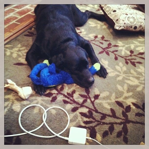 Since its Friday....