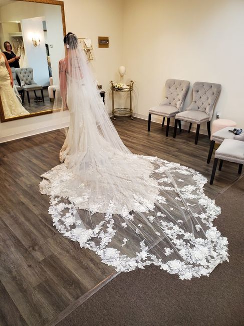 Super long veil or keep what i have… 4