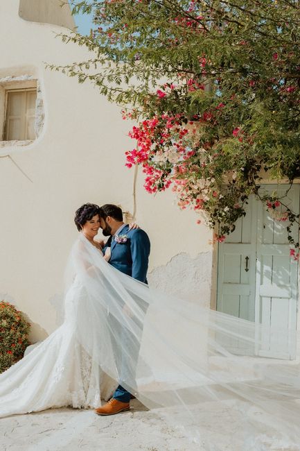 Wedding Photos - 6