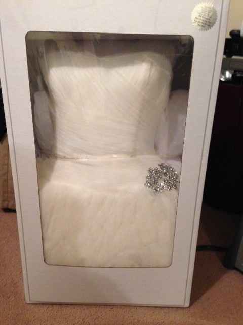 For the Curious Minds>>Gown Preservation**Pics Included**
