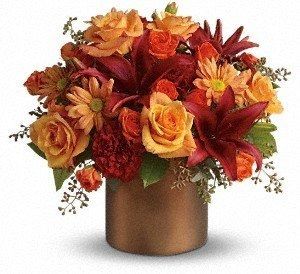 problems with colors please help!