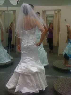 Dress Bustled