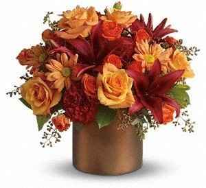 problems with colors please help!