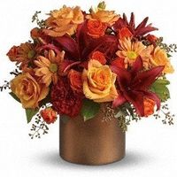 problems with colors please help!