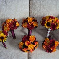 problems with colors please help!