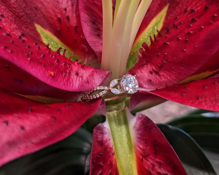 2023 Brides - Show us your ring! 5