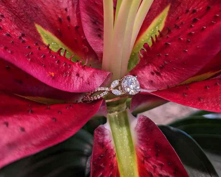2023 Brides - Show us your ring! - 1