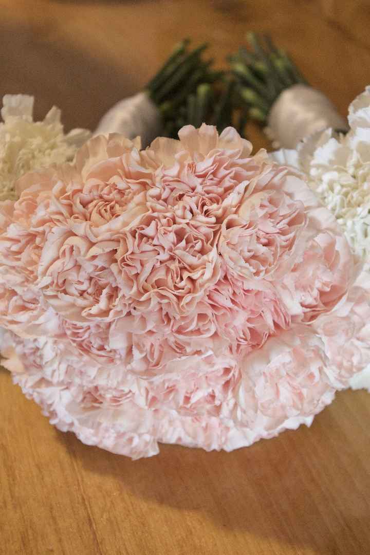 I swoon over this picture. My favorite pro picture of my bouquet.