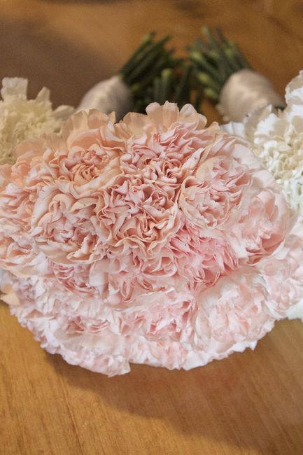 I swoon over this picture. My favorite pro picture of my bouquet.