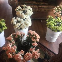 All the pretty flowers taking a drink!