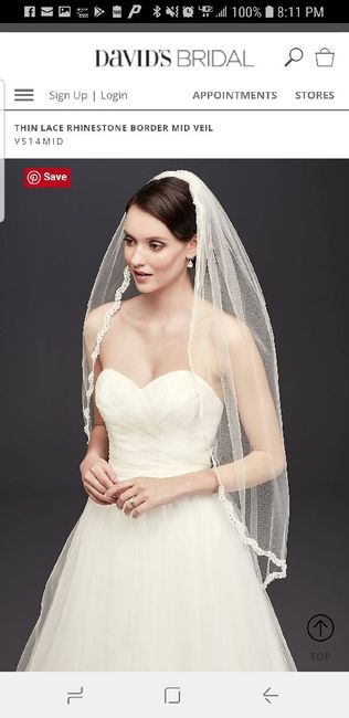 Your Veil: What, Where, How Much? 1