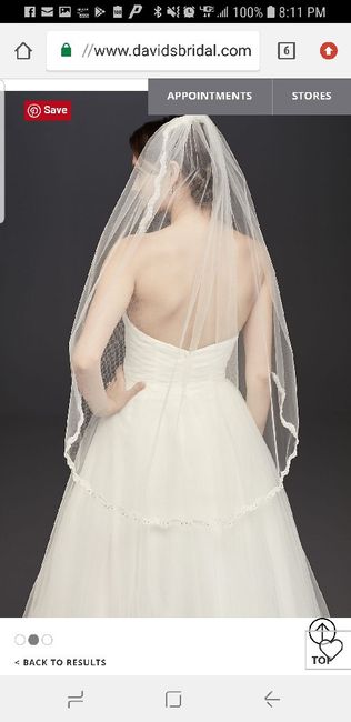 Your Veil: What, Where, How Much? 2
