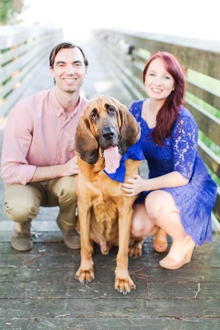 Dogs in engagement/bridal photos