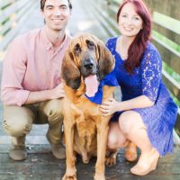 Dogs in engagement/bridal photos