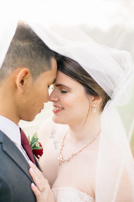 Bam! -pro version - 7