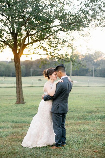 Bam! -pro version - 8