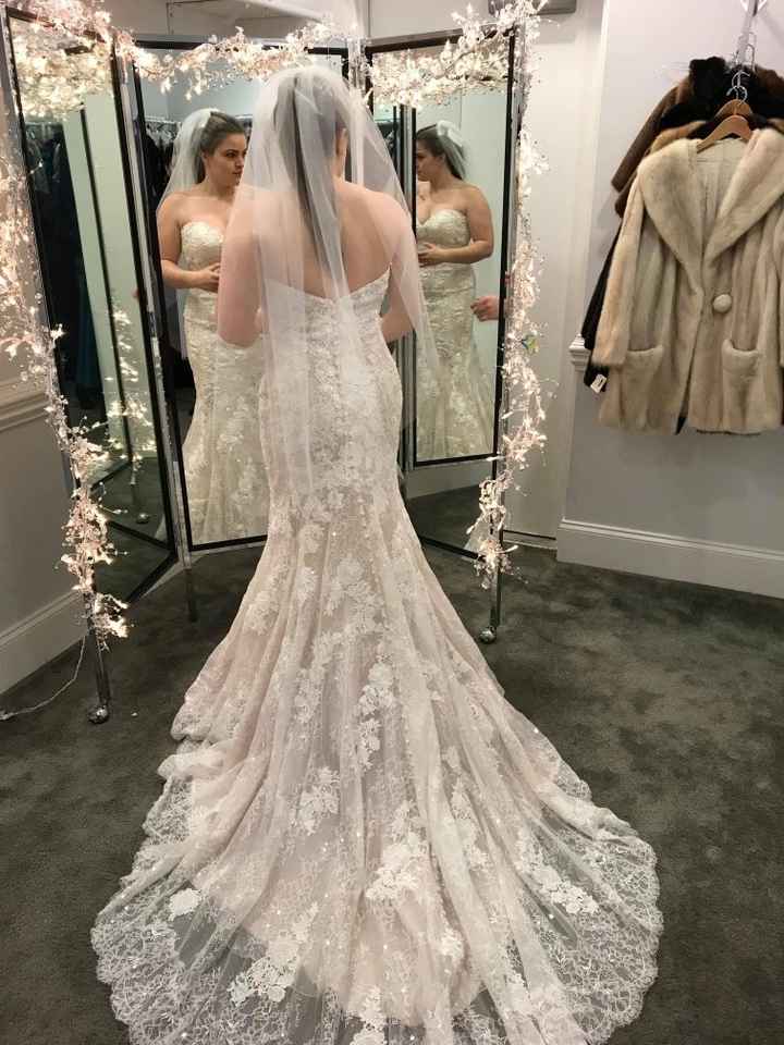 Dresses - 2