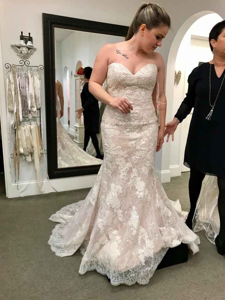 Veil or no veil? - 2