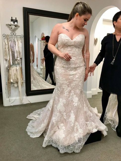 Veil or no veil? - 2