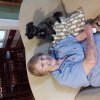 Since we are getting to know each other and everyone LOVES their fur babies!