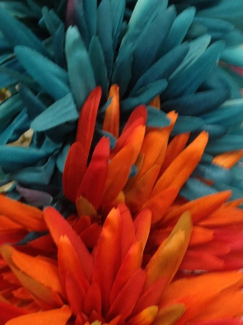 Since I am nosey ... what are you wedding colors???