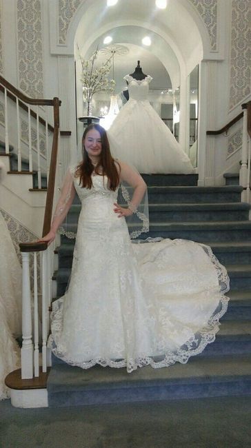 Let me see your DRESS!