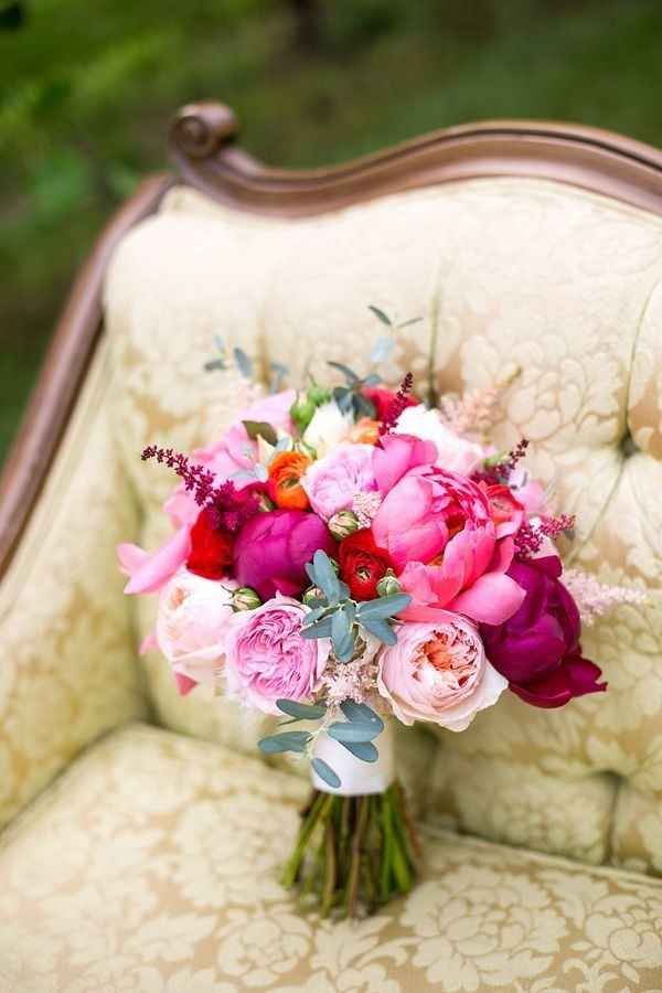 Help with color scheme?