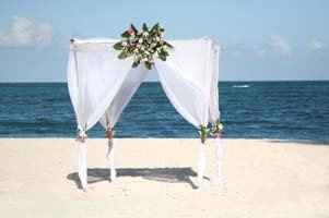 Question for the DIY brides - I need help with making a bamboo arch