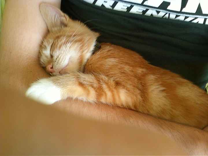 Finally gave in...   (I'm new)