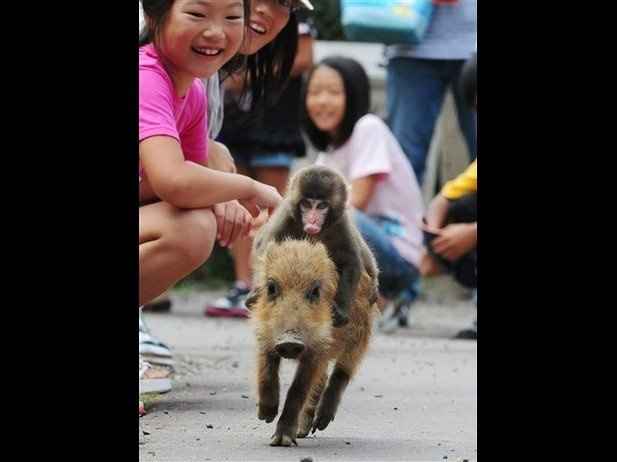 WTF Kind of Proposal is That?