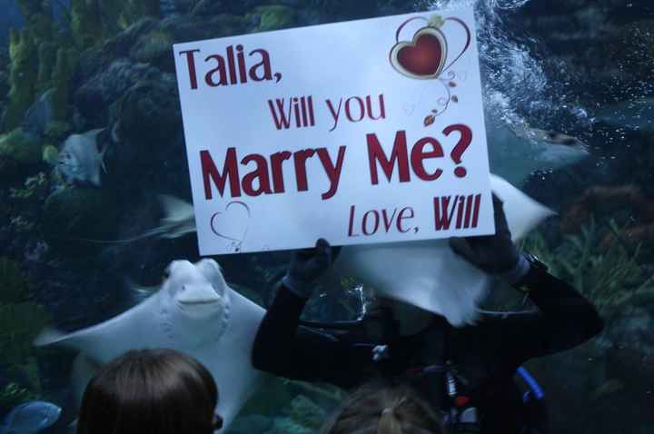 How did he propose?