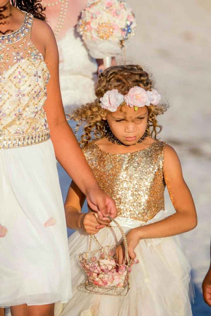 Venting about Pro Bam