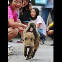 WTF Kind of Proposal is That?